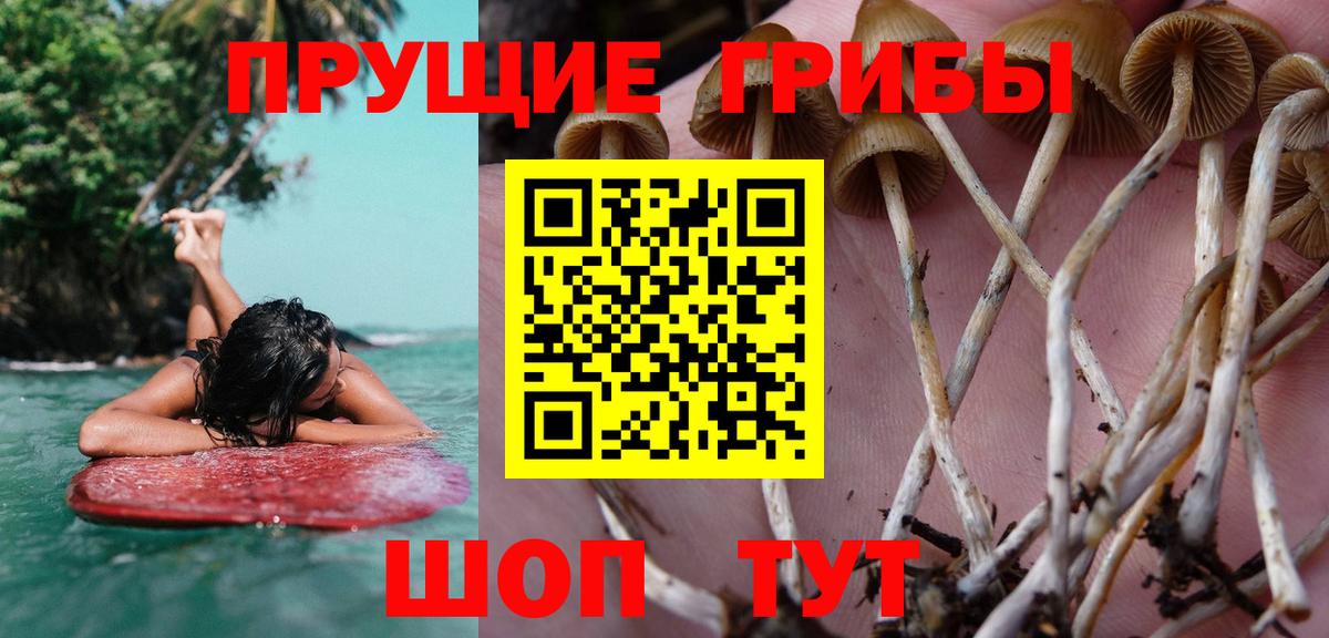 Галлюциногенные грибы GOLDEN TEACHER  купить наркоту  Джанкой  Вход с VPN 