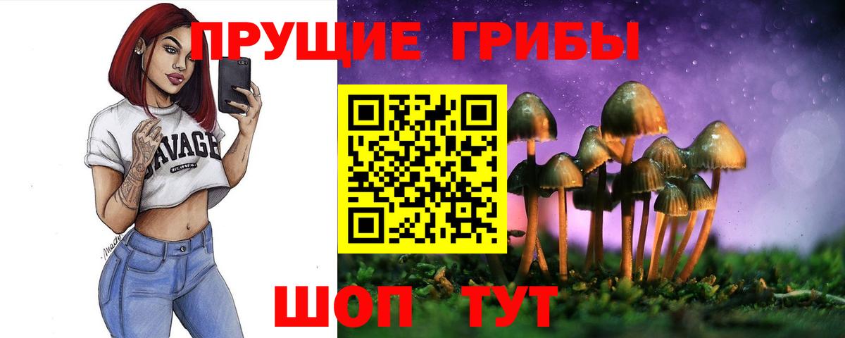 Псилоцибиновые грибы Cubensis Джанкой